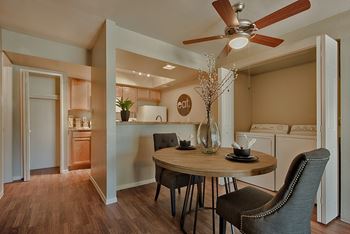 Ceiling fan